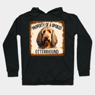 Property of a Otterhound Hoodie